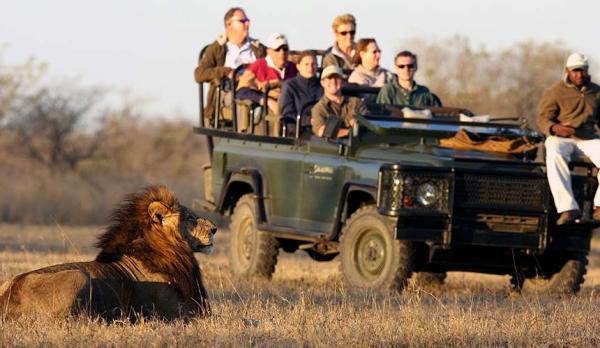 5 سرگرمی مهیج که در سفر به آفریقای جنوبی نباید از دست داد! 5 سرگرمی مهیج که در سفر به آفریقای جنوبی نباید از دست داد!